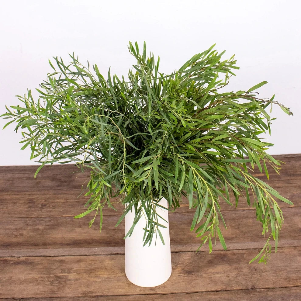 Eucalyptus Feather Greenery - alternative 3