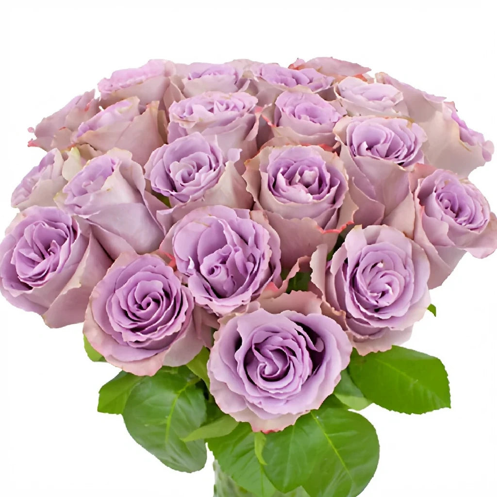 Grey Knights Roses Standard - alternative 3