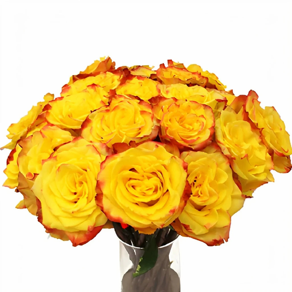 High And Yellow Magic Roses Standard - alternative 3