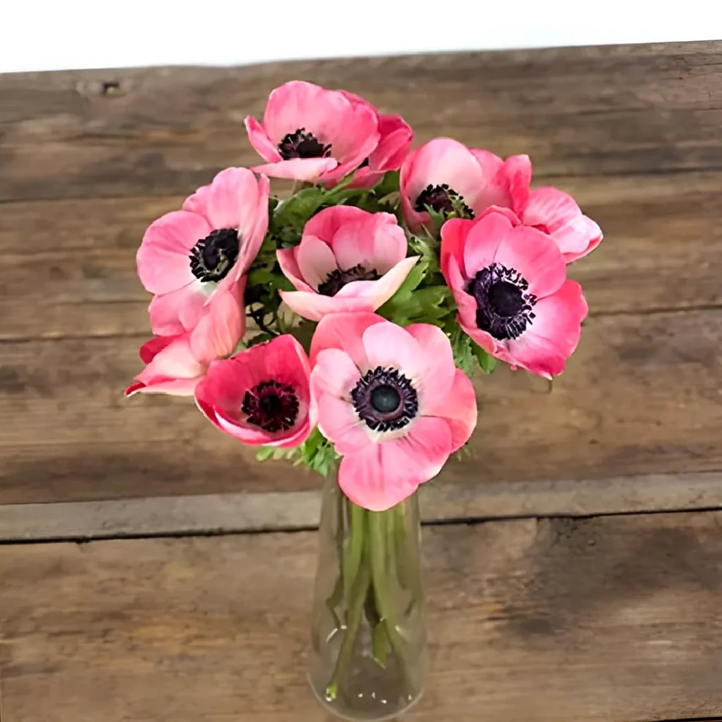Hot Pink Anemones - main