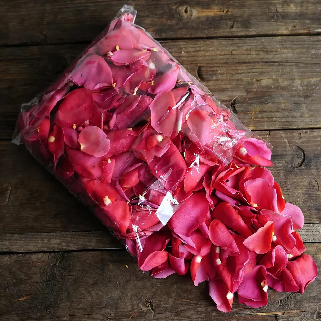 Pink Hot Rose Petals - alternative 1