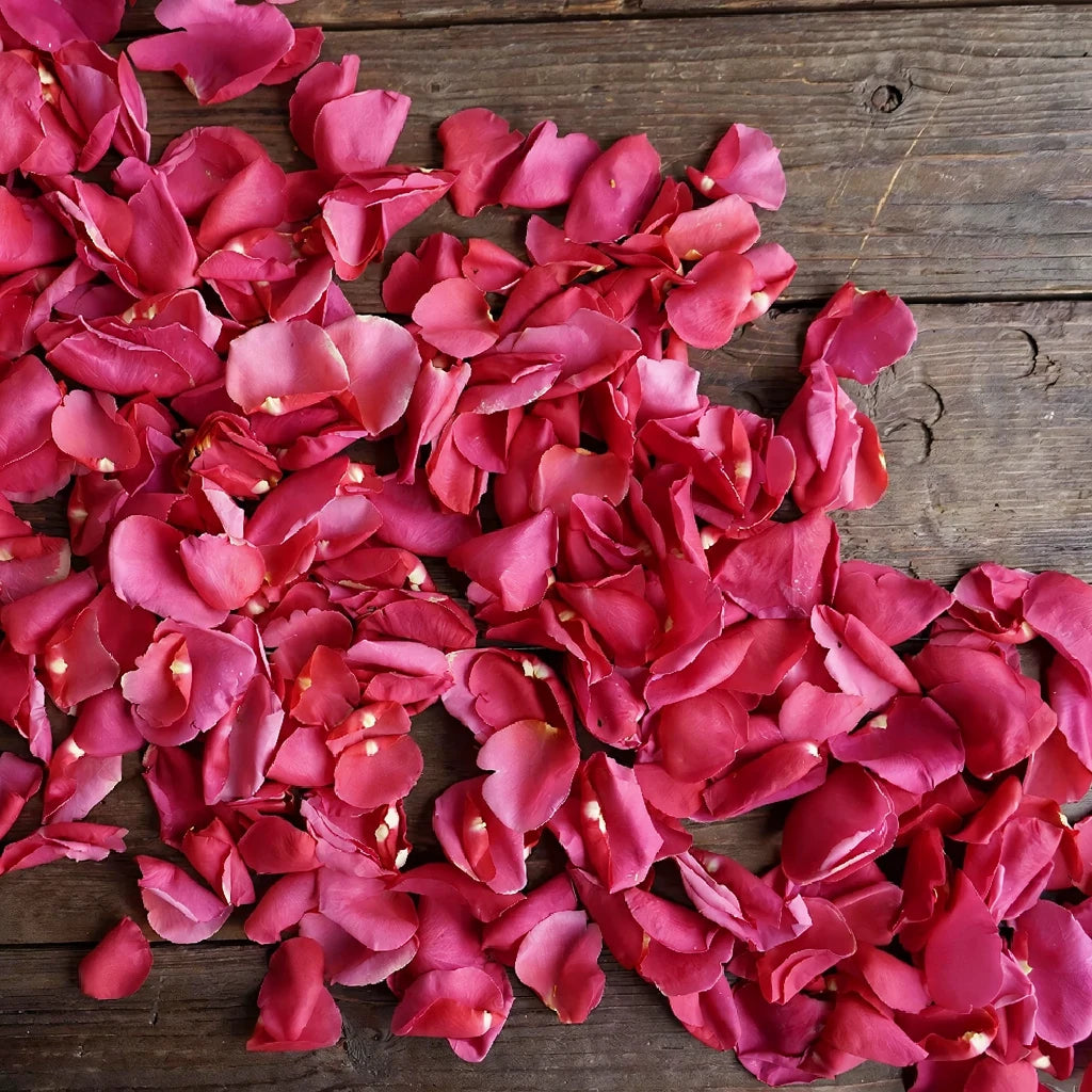 Pink Hot Rose Petals - alternative 4