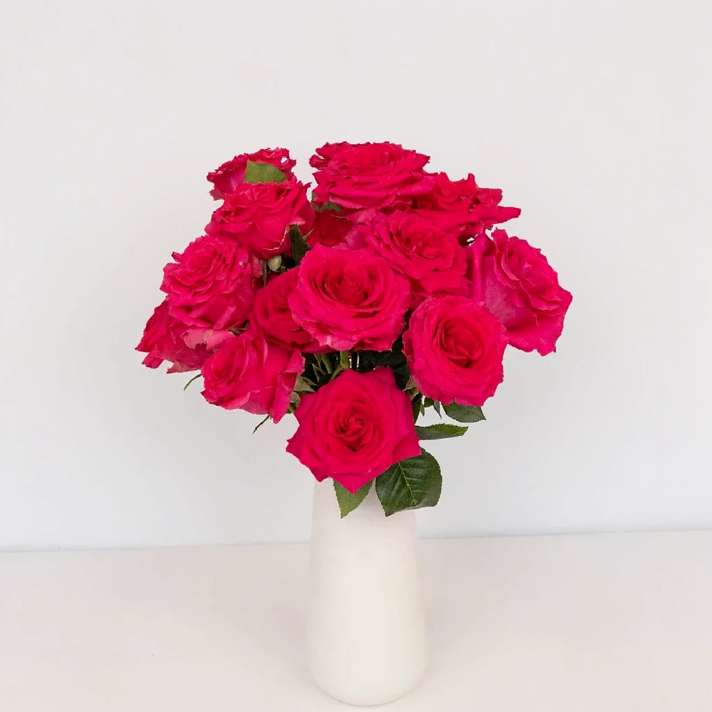 Pink Explorer Roses Standard - alternative 2