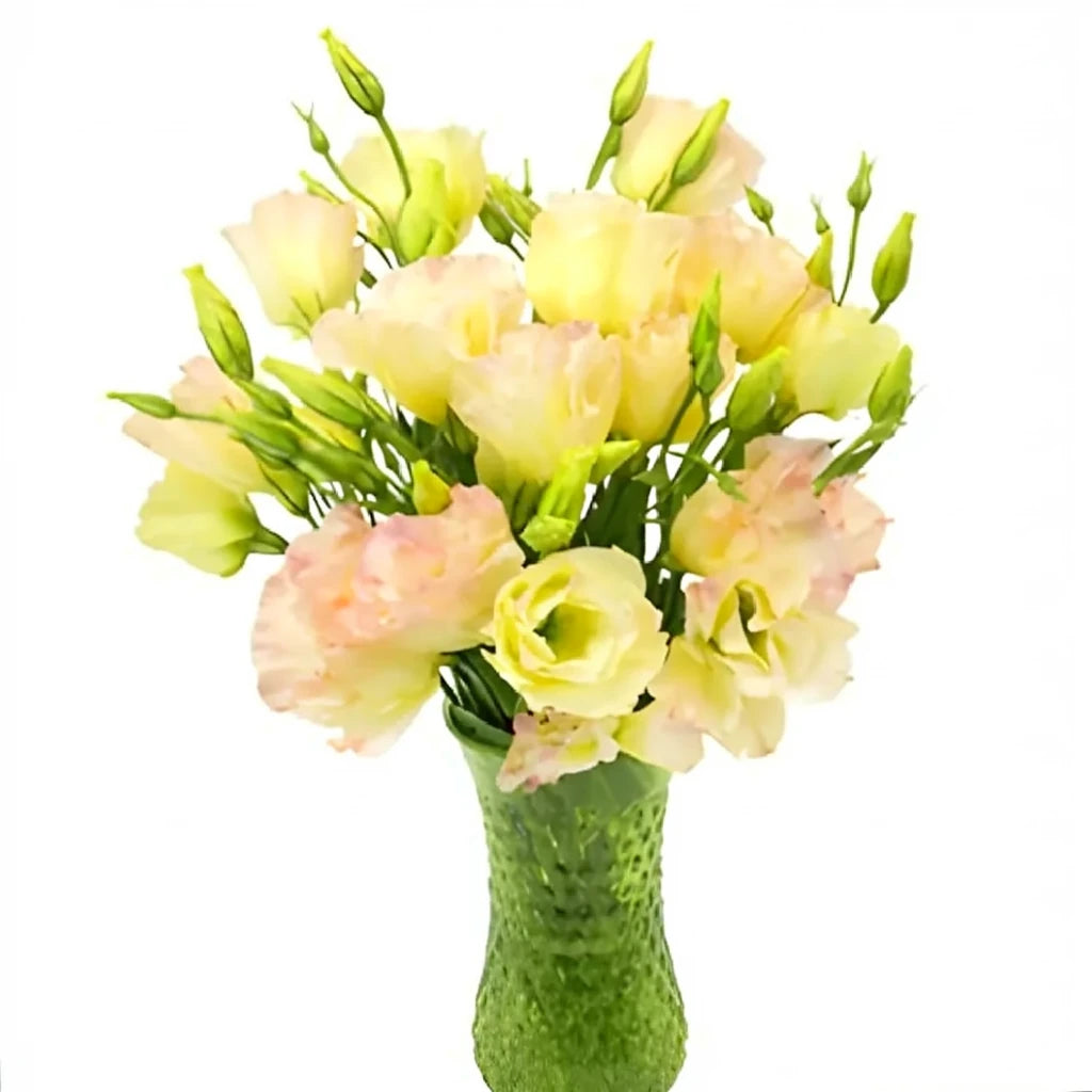Peach Lisianthus - alternative 2