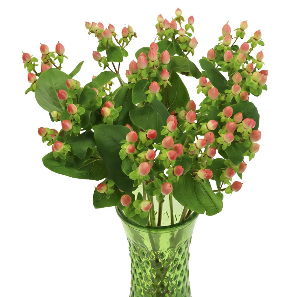 Hypericum Salmon Berries - main