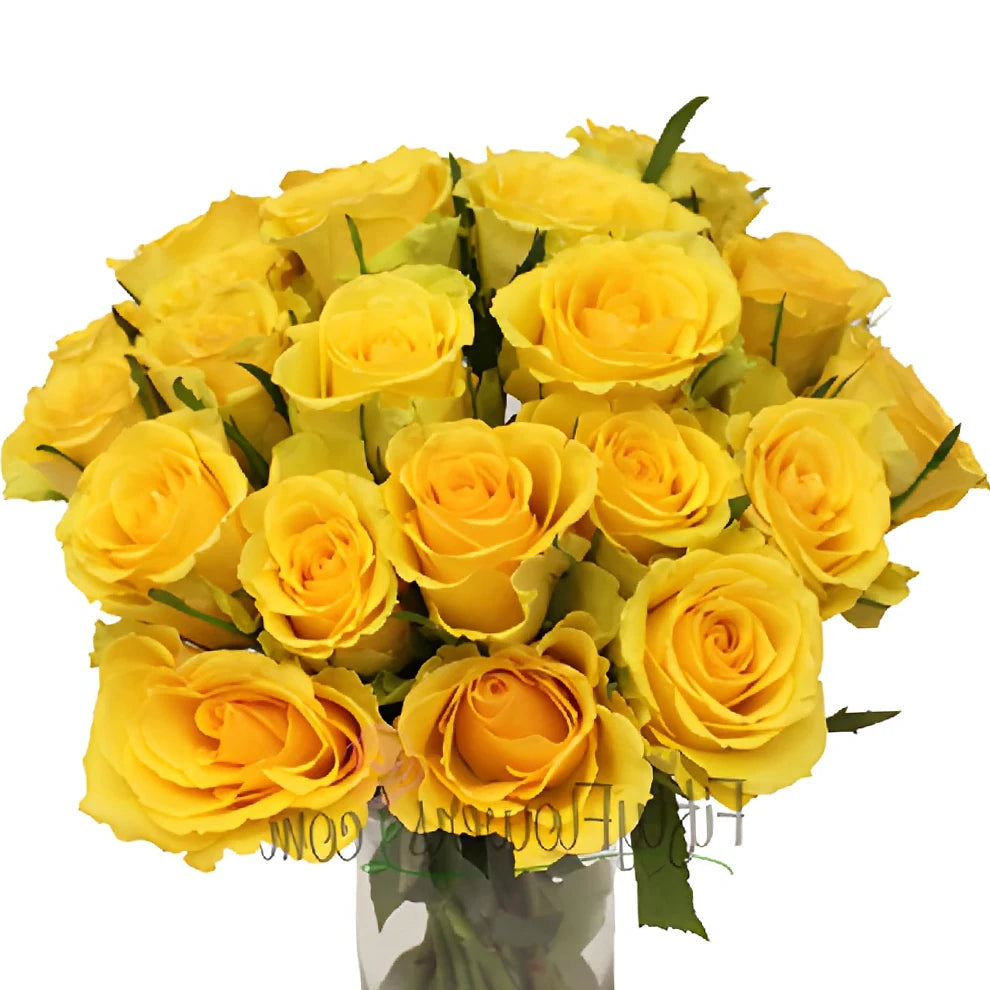 Idole Roses Standard - alternative 1