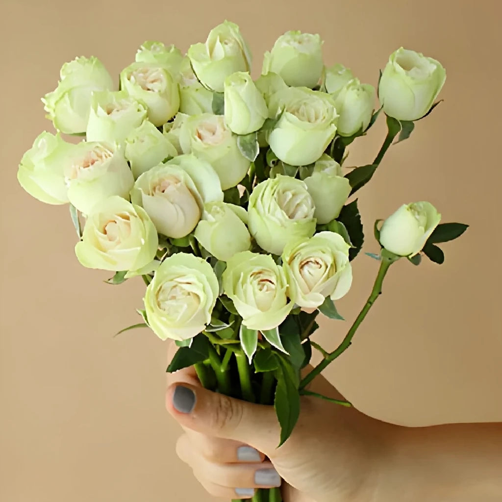 Cream Roses Spray - alternative 2