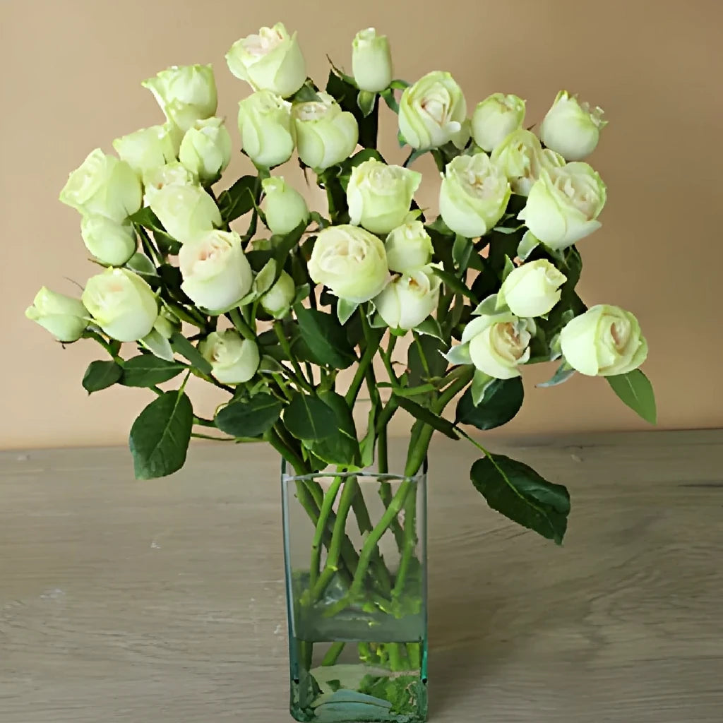 Cream Roses Spray - main