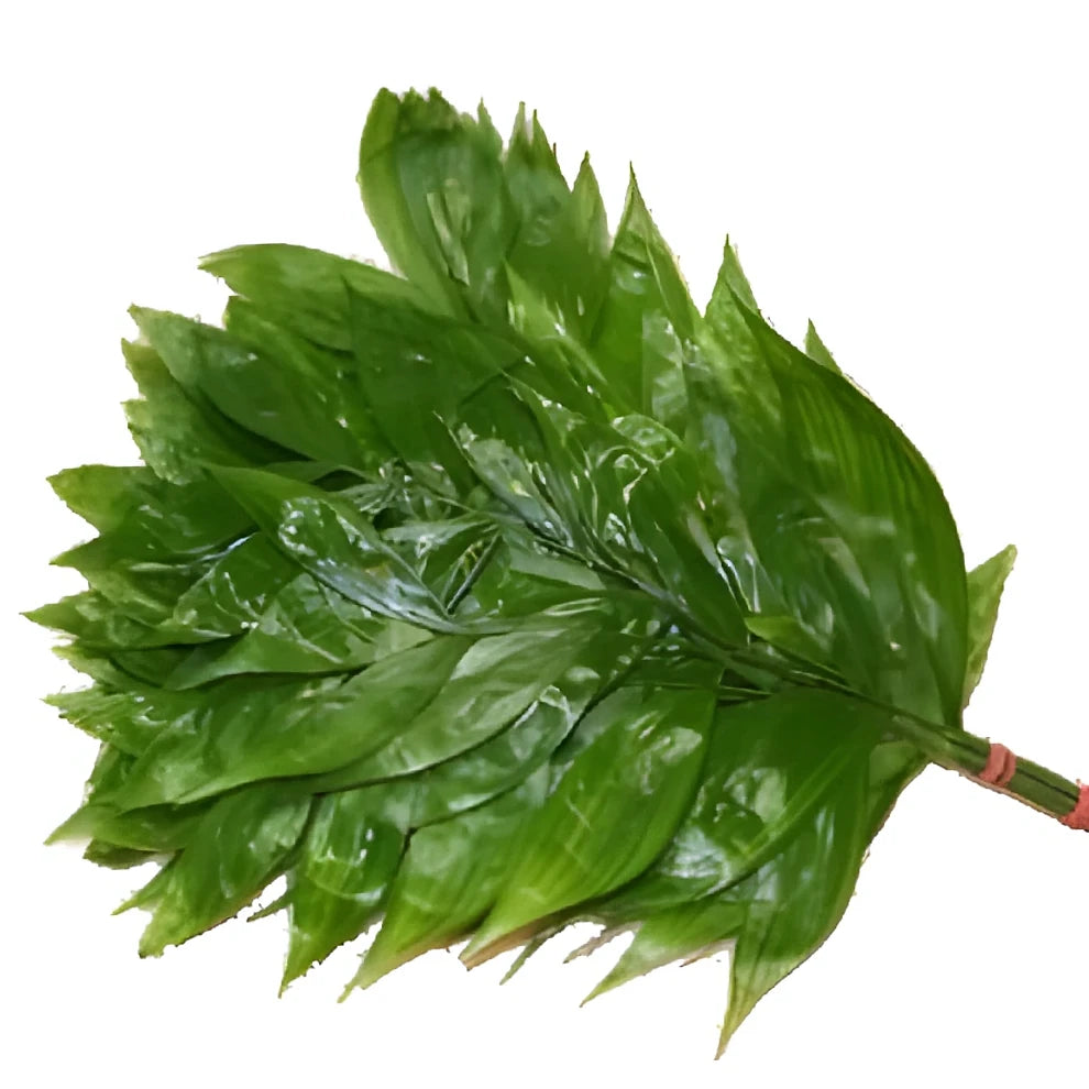 Jade Greenery - main