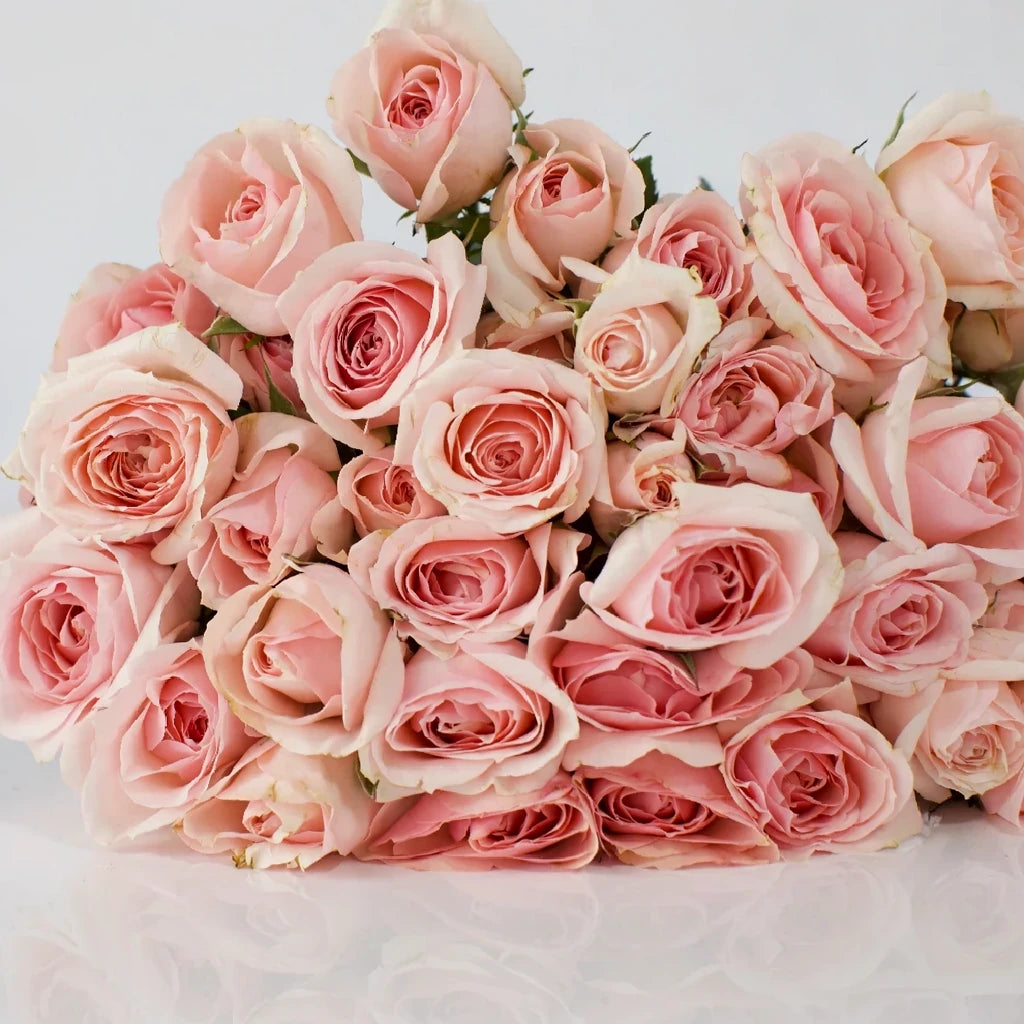 Pink Irishka Roses Spray - main