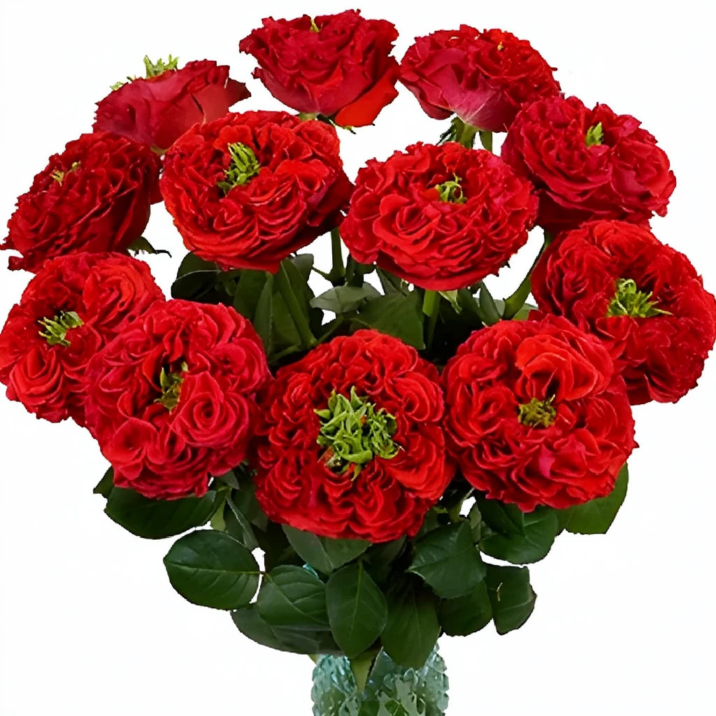 Red Monster Roses Garden - alternative 3