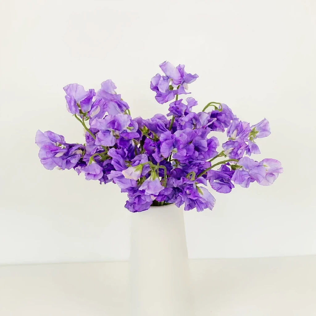Lavender Sweet Peas - alternative 1