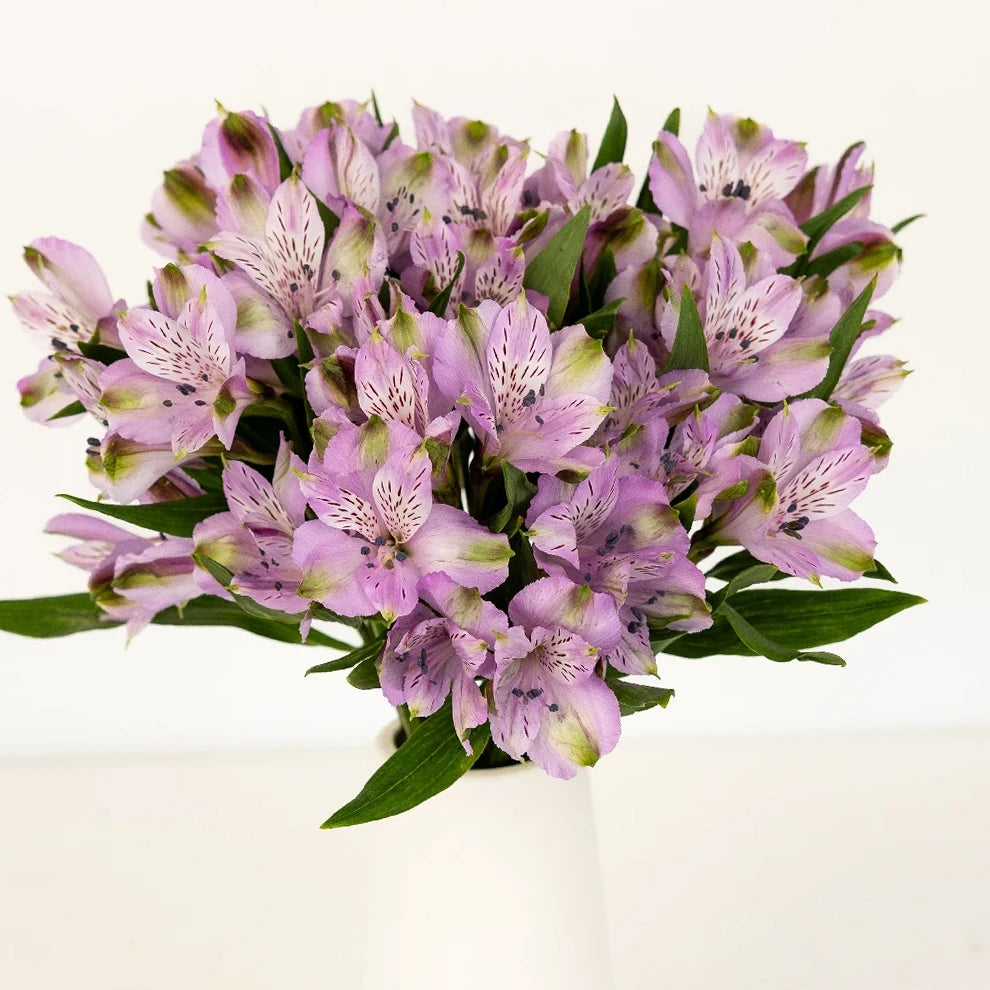 Lavender Alstroemeria - alternative 1