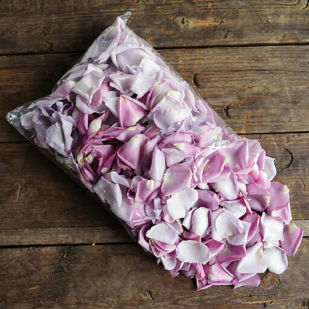 Lavender Rose Petals - alternative 2