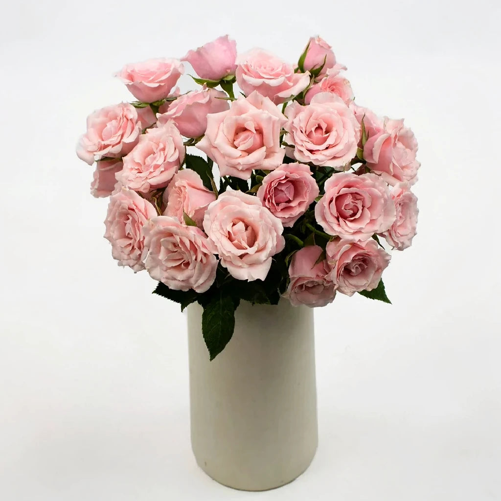 Light Pink Roses Spray - main