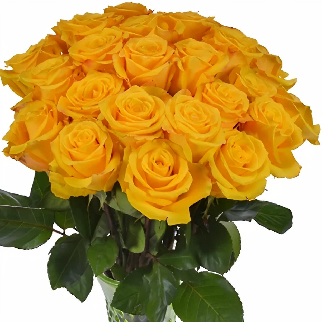 Yellow Lighthouse Roses Standard - alternative 3