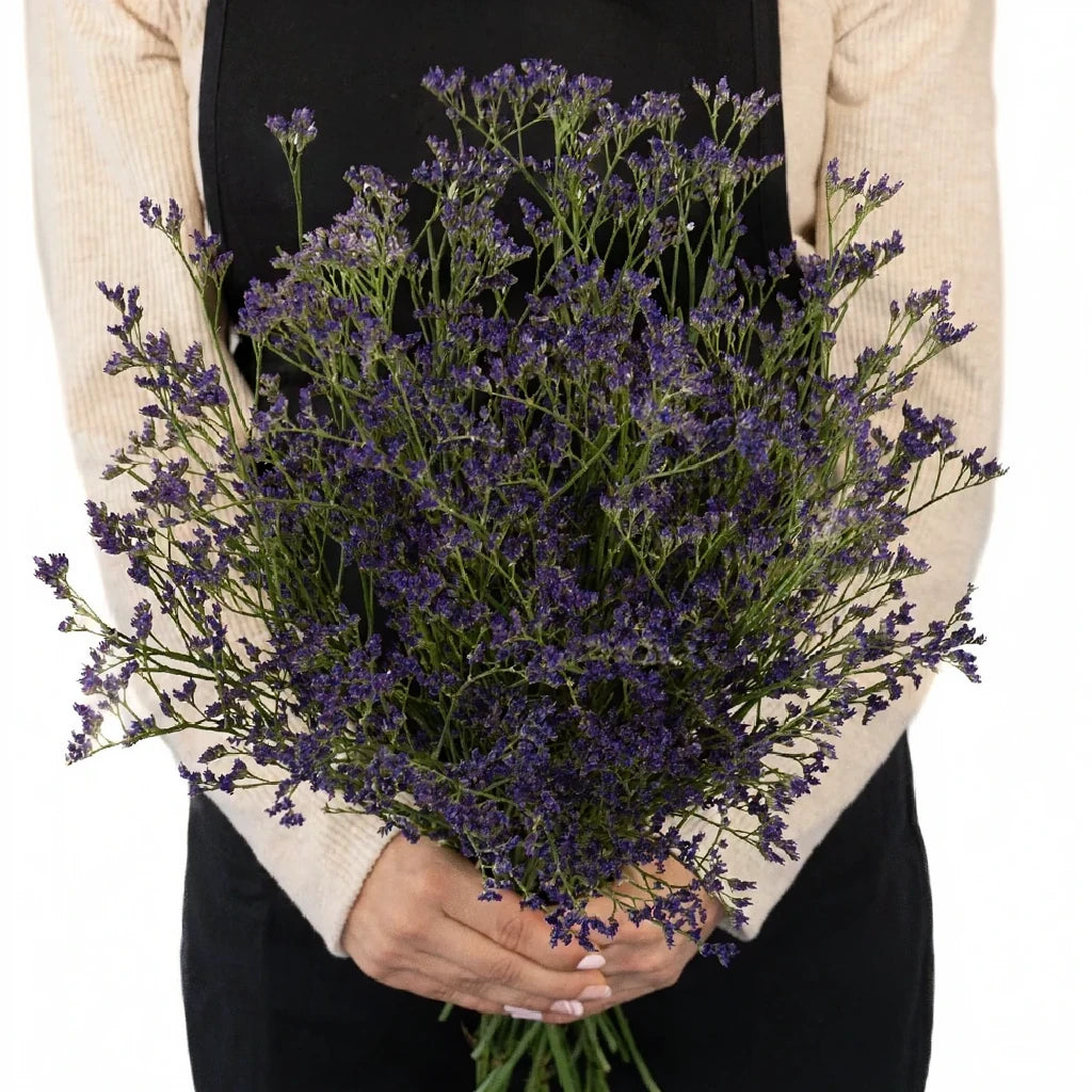Purple Limonium - alternative 2
