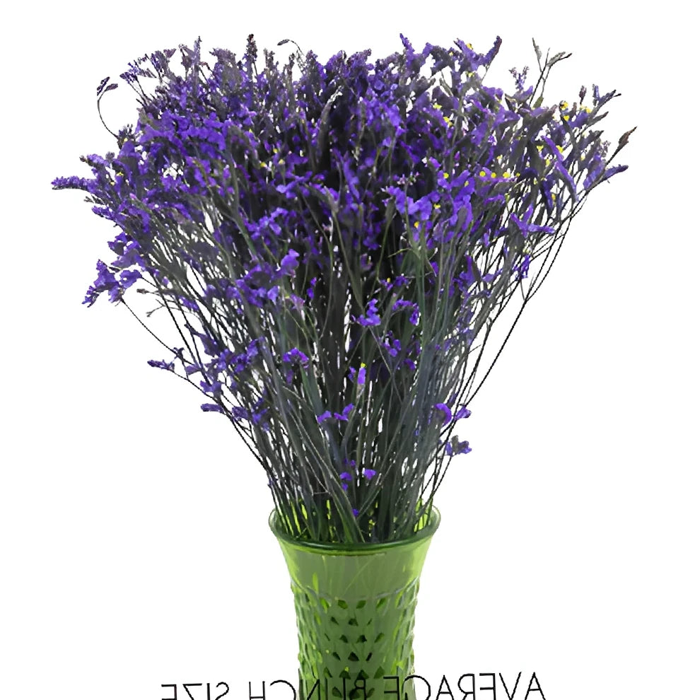 Tinted Limonium - Purple - main
