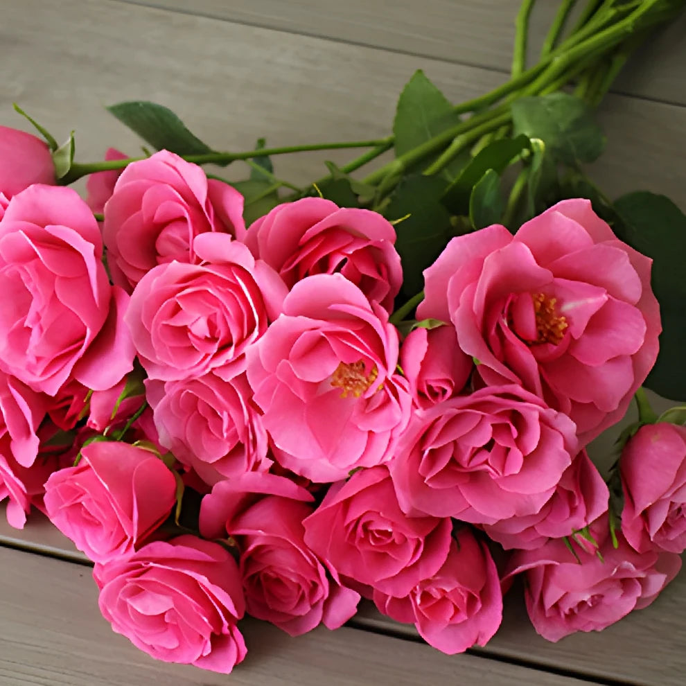 Lovely Lydia Roses Spray - alternative 2