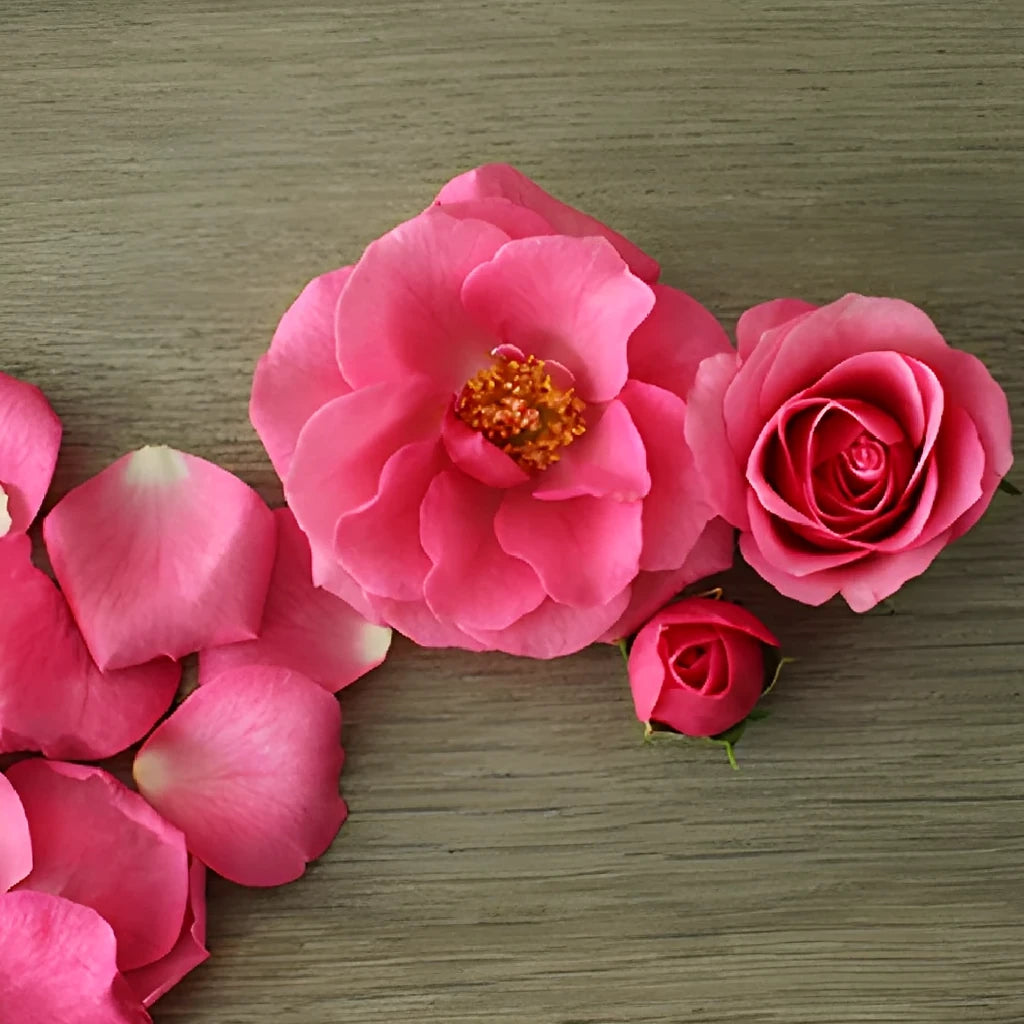Lovely Lydia Roses Spray - alternative 1