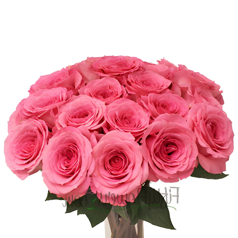 Martina Pink Roses Standard - alternative 2