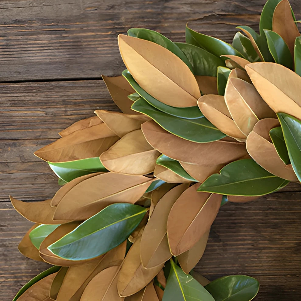 Wreath Magnolia Greenery - alternative 1