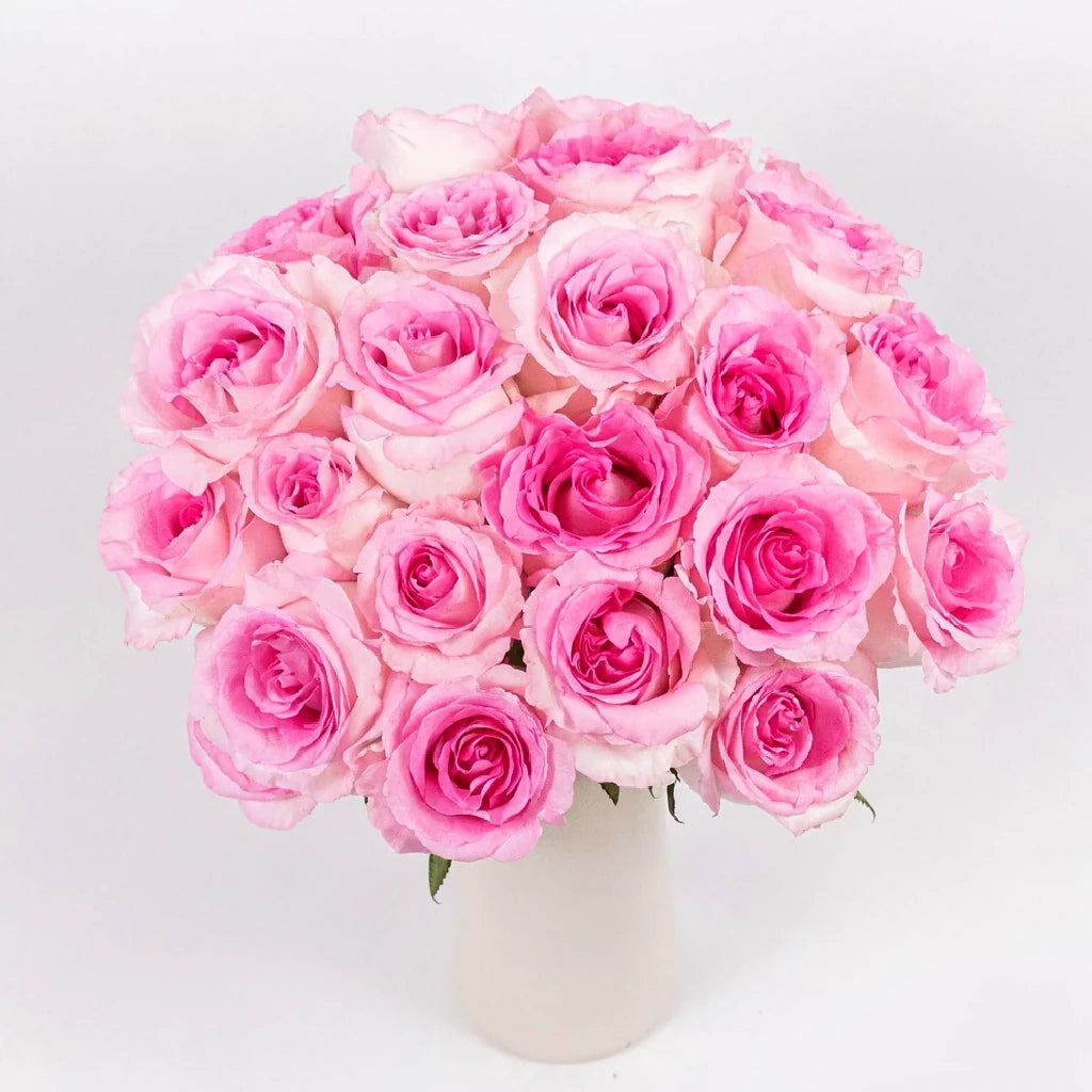 Mandala Roses Standard - alternative 1