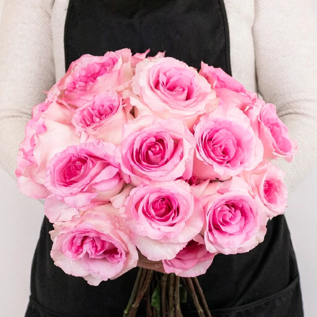 Mandala Roses Standard - alternative 2