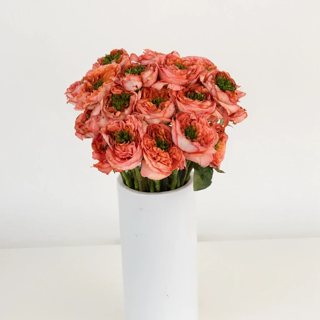 Mandarin Roses Garden - alternative 2