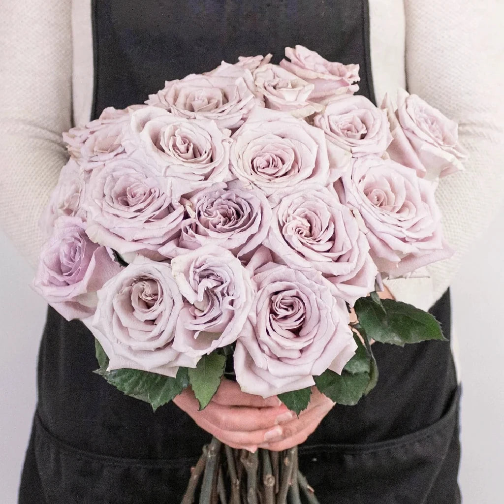 Menta Roses Standard - alternative 1