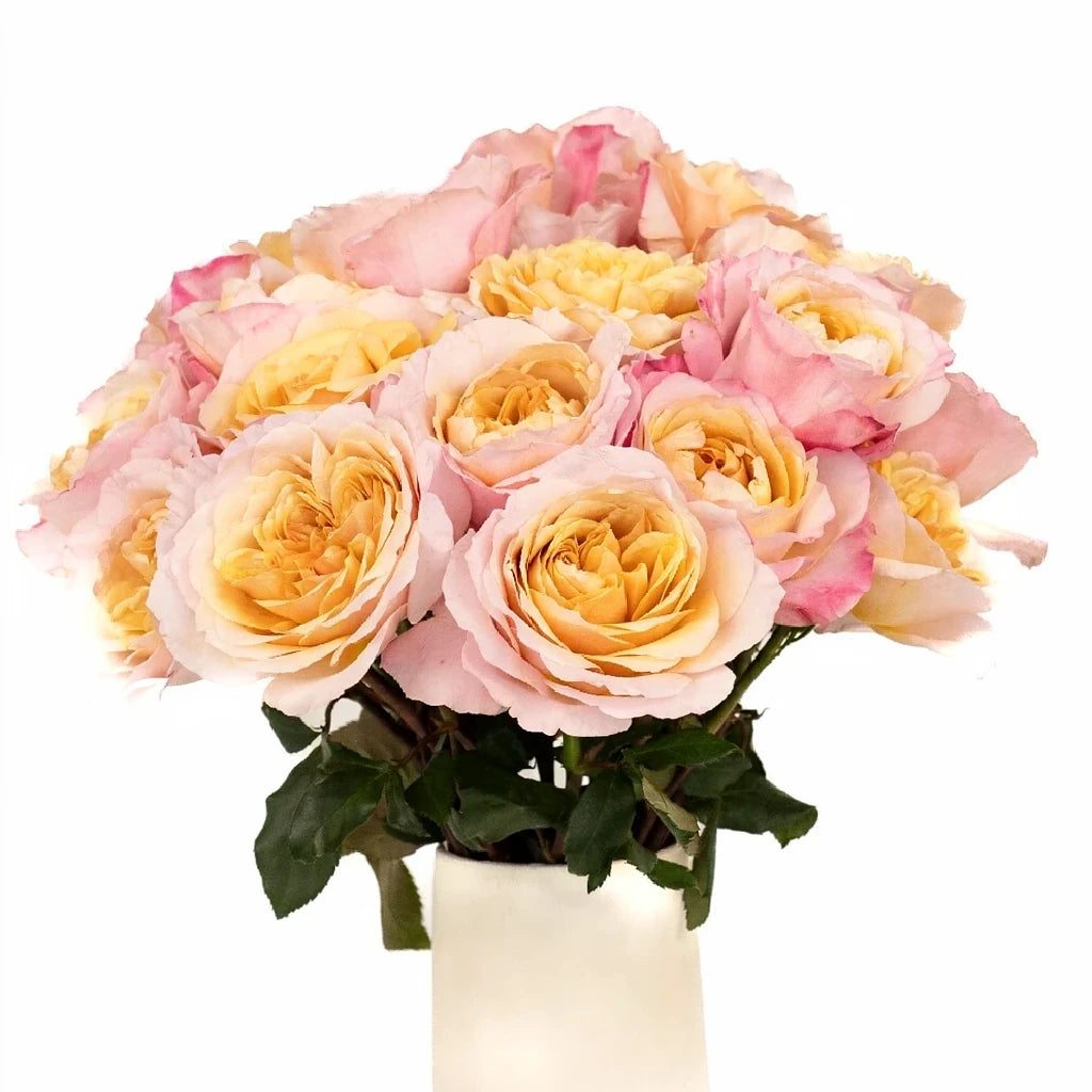 Miyabi Roses Garden - main