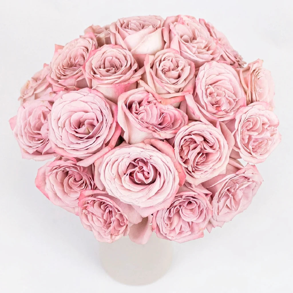 Cappuccino Roses Standard - main
