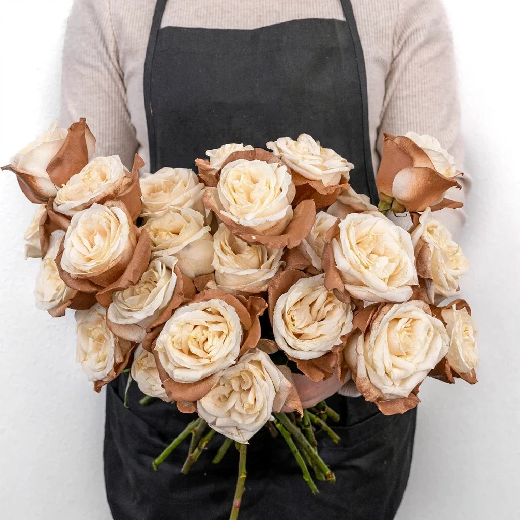 Tinted Brownie Roses Standard - alternative 3