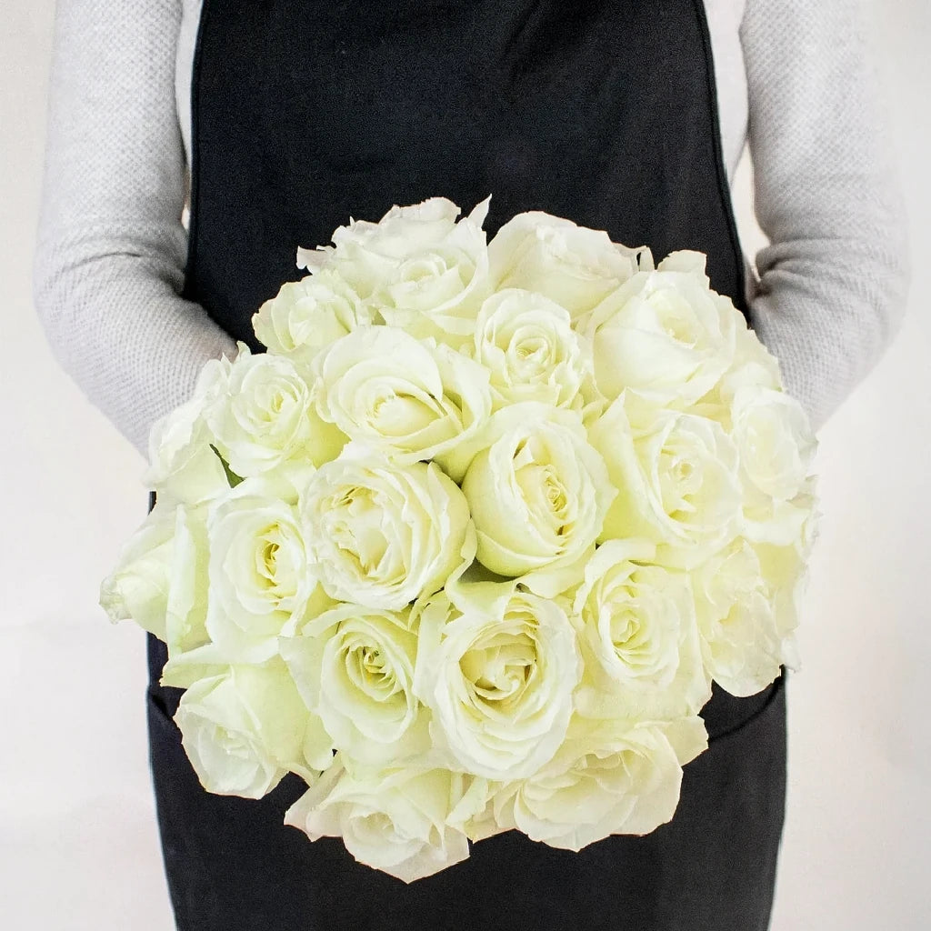 Mojito Roses Standard - alternative 2