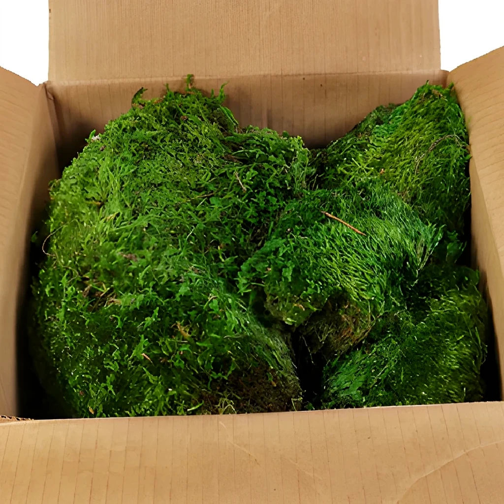 Mood Moss Greenery - alternative 2