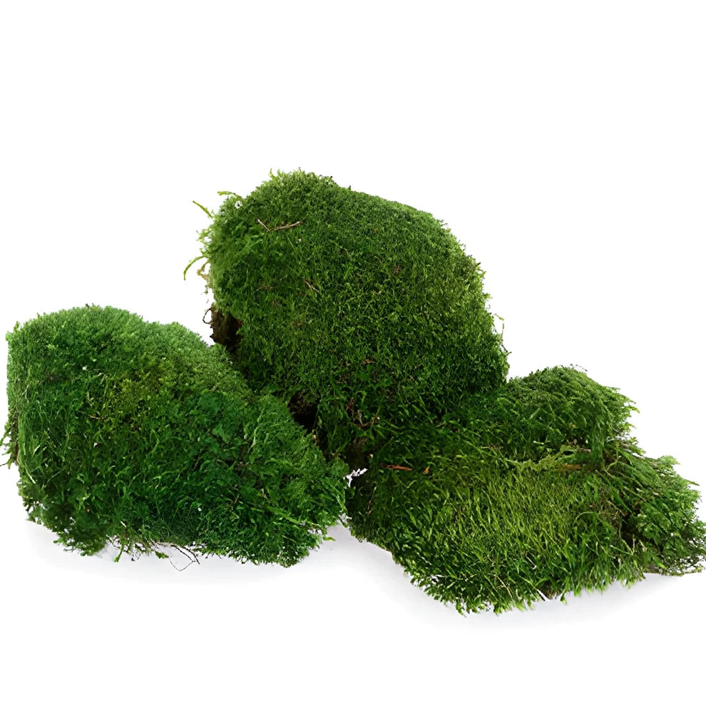 Mood Moss Greenery - alternative 1