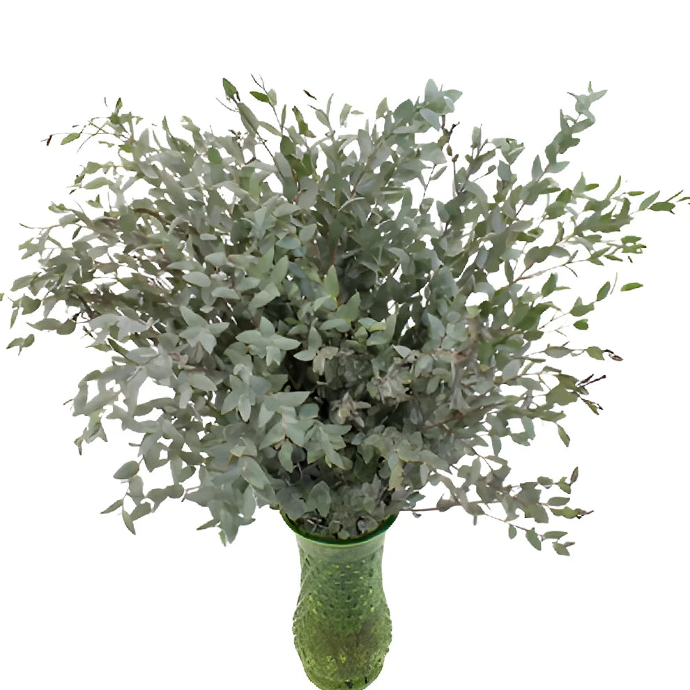 Moon Lagoon Greenery - alternative 3