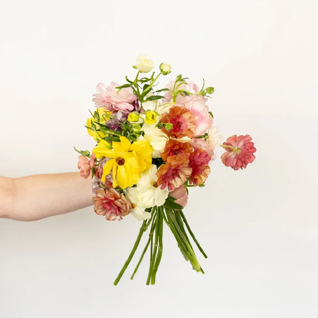 Assorted Butterfly Ranunculus - Assorted - main
