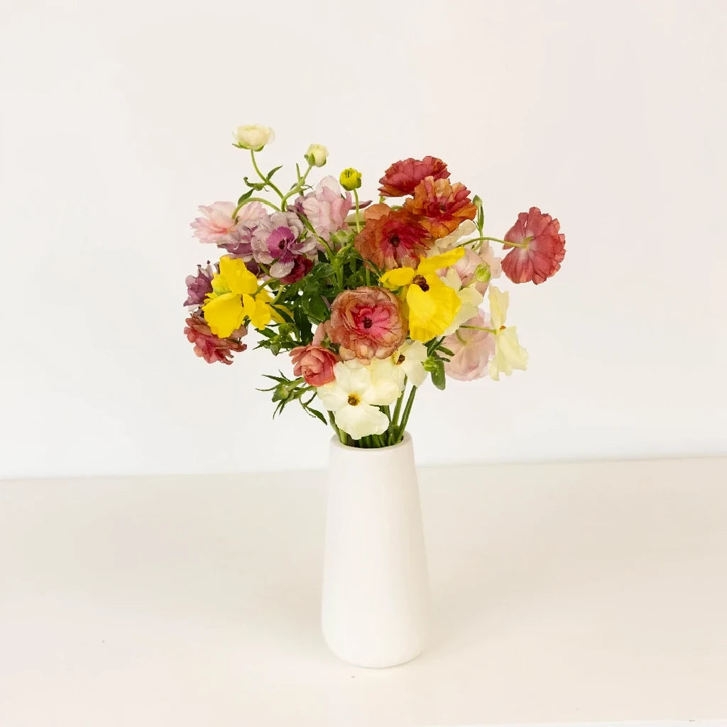 Assorted Butterfly Ranunculus - Assorted - alternative 2