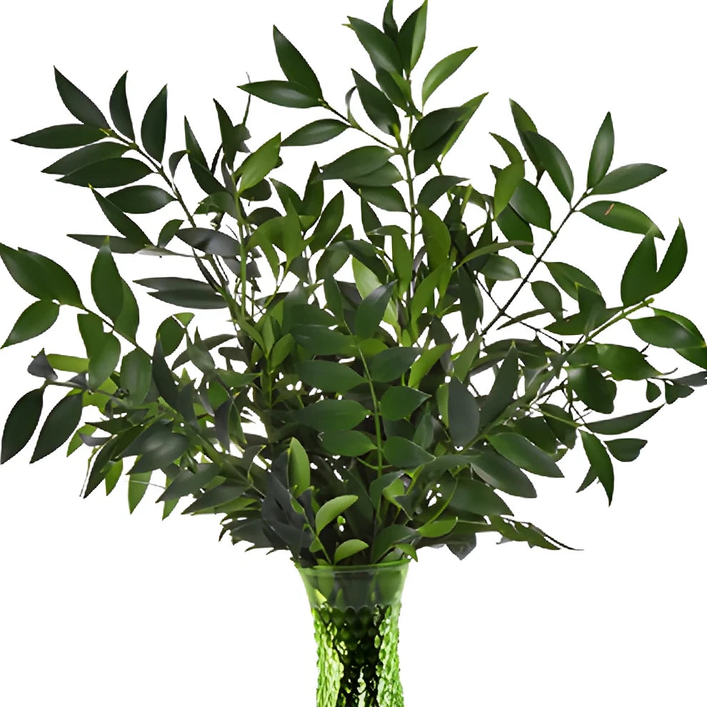 Nagi Greenery - alternative 1