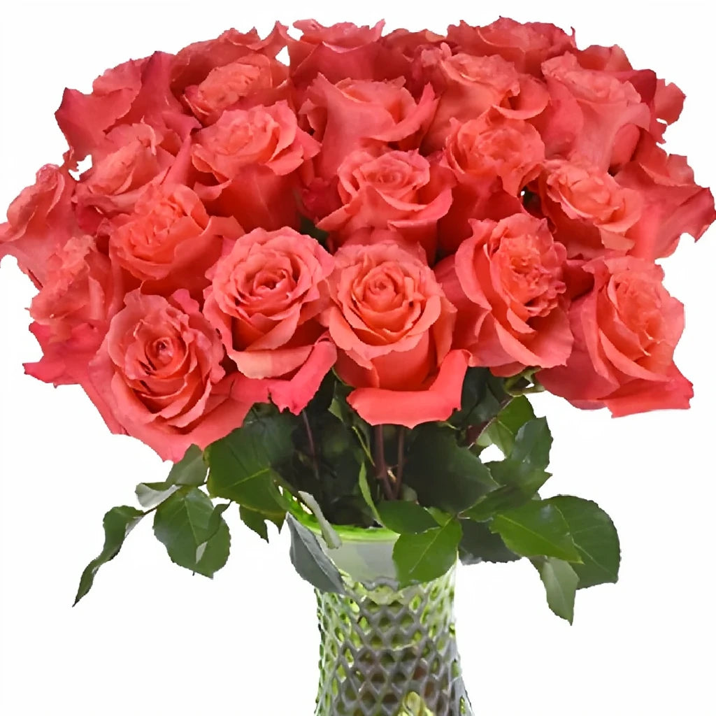 Coral Xpression Roses Garden - alternative 3