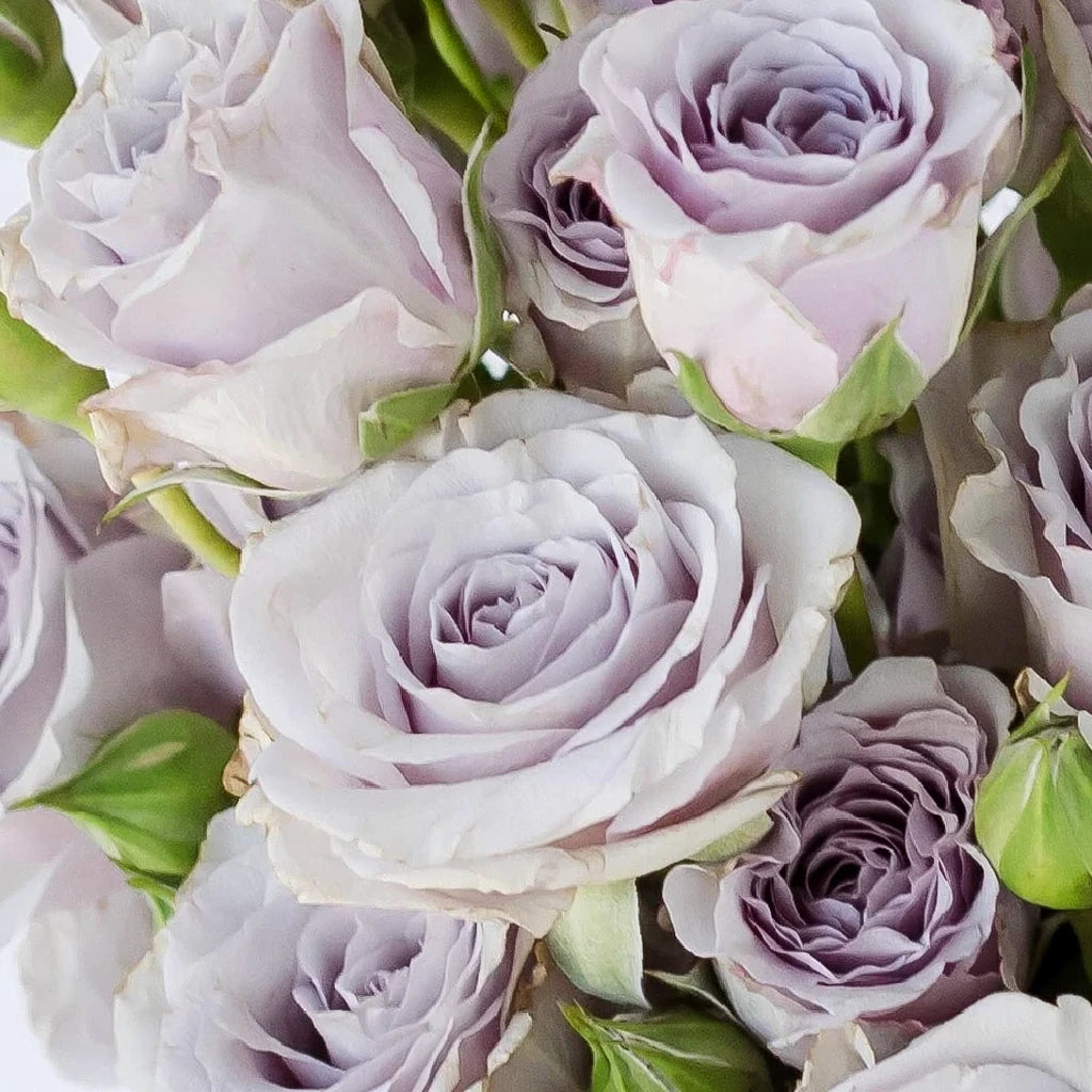 Ocean Mikado Roses Spray - alternative 1
