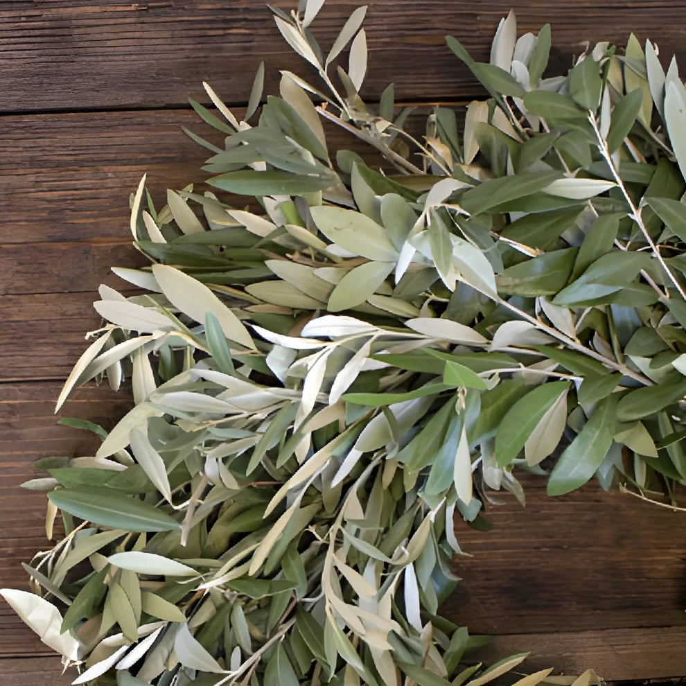 Wreath Olive Greenery - main