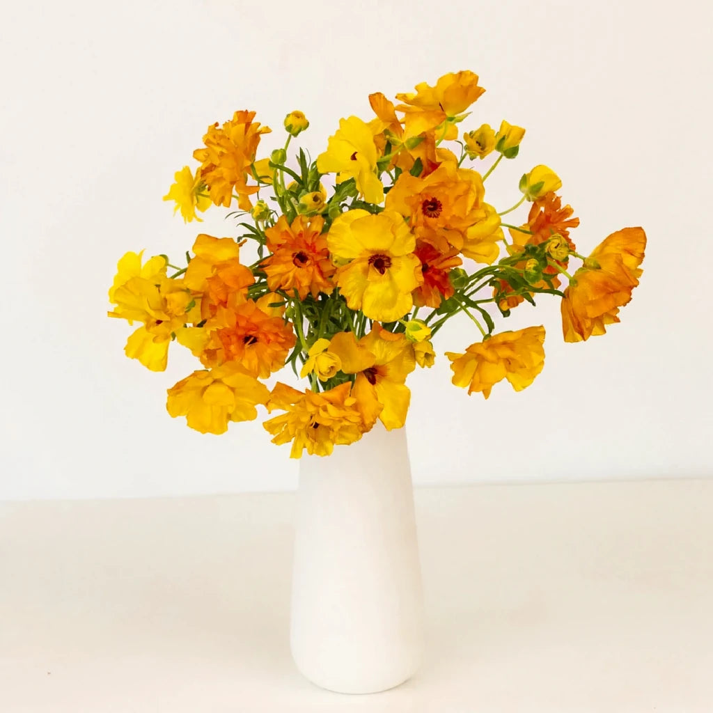 Dusty Orange Butterfly Ranunculus - Dusty Orange - alternative 1