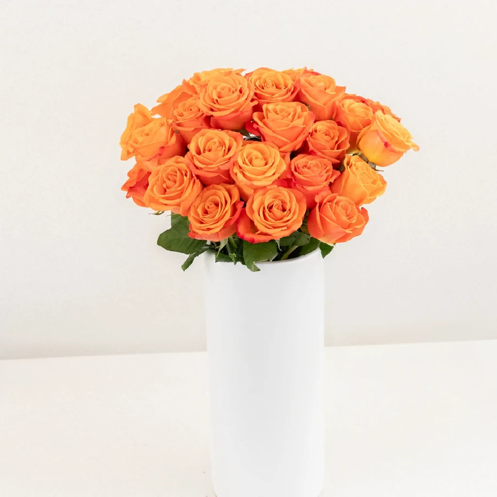Orange Crush Roses Standard - alternative 2