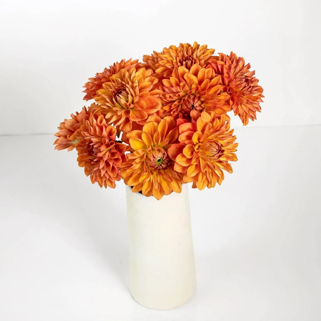 Orange Dahlias - main