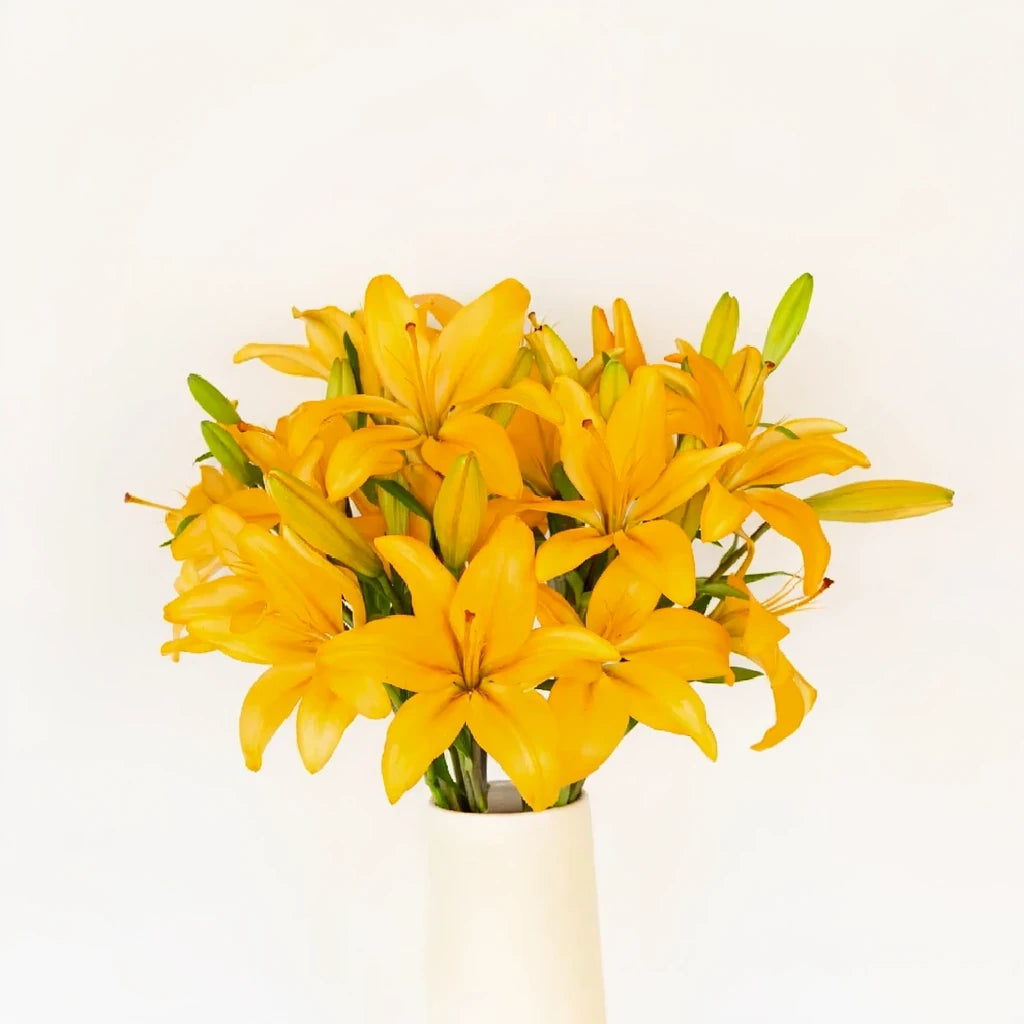 Esprit Lilies Asiatic - main