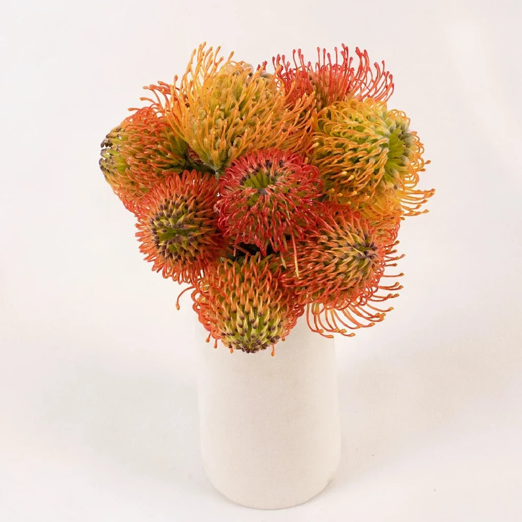 Pin Cushion Orange Tropicals - alternative 1