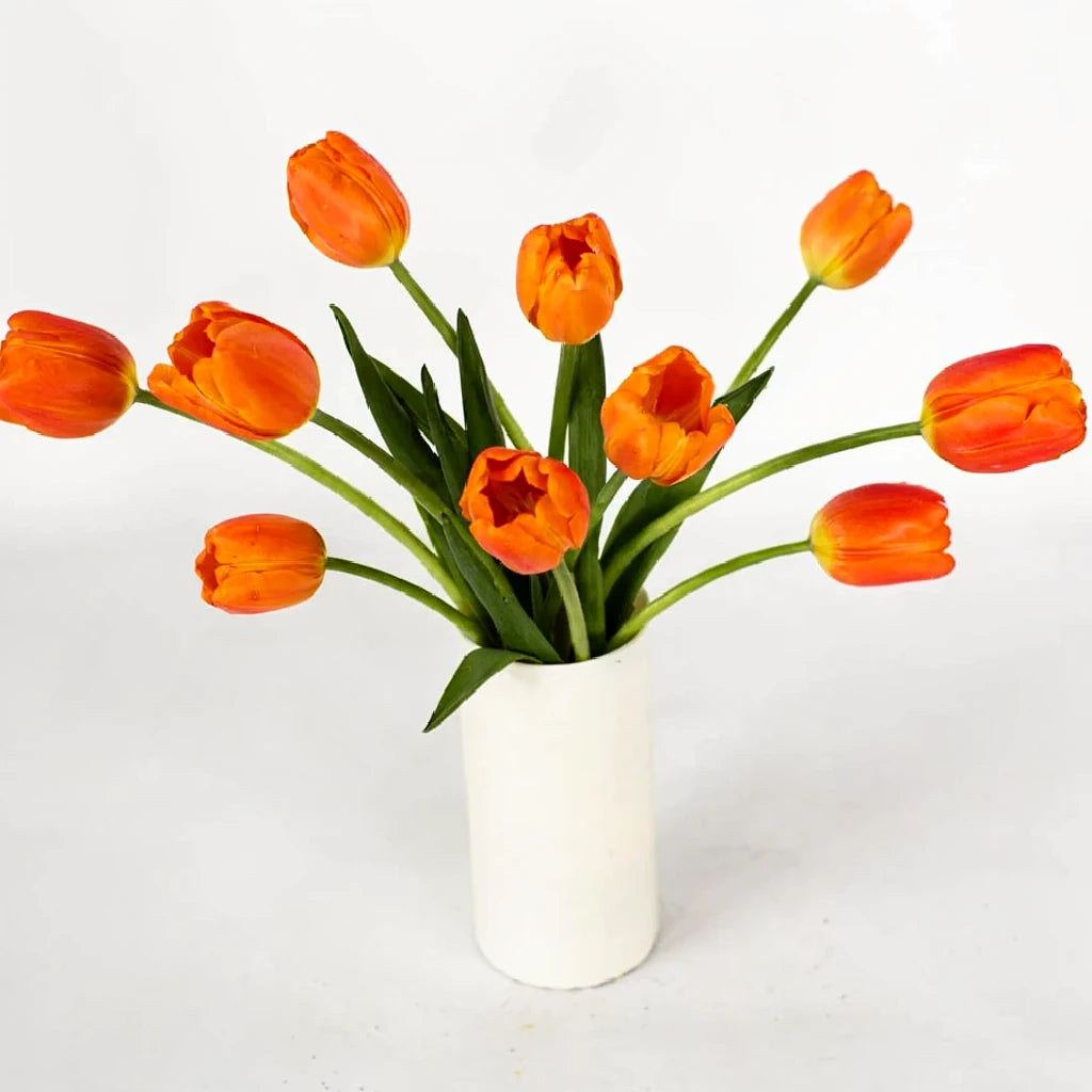 Orange Tulips Standard - main