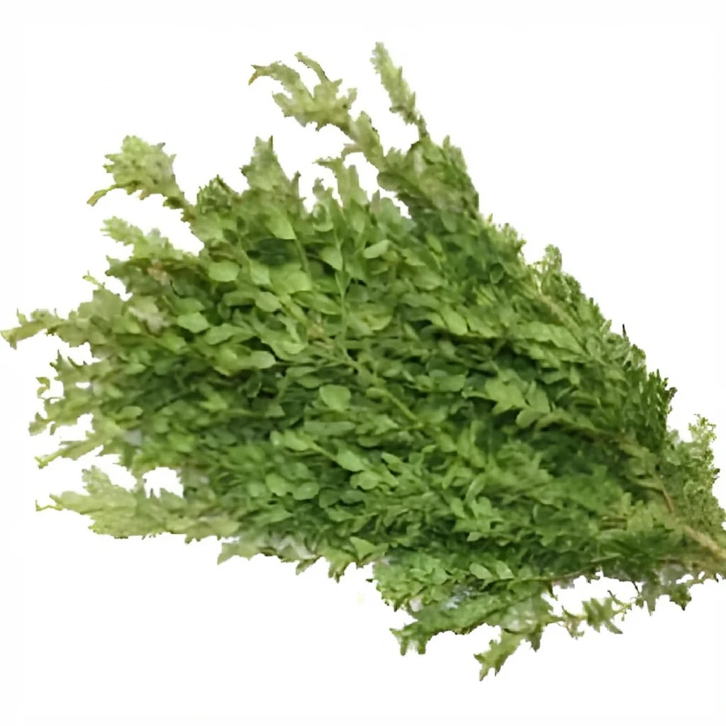 Oregonia Greenery - alternative 1